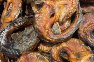 imgi 161 img 8338 scaled imgi 161 img 8338 scaled